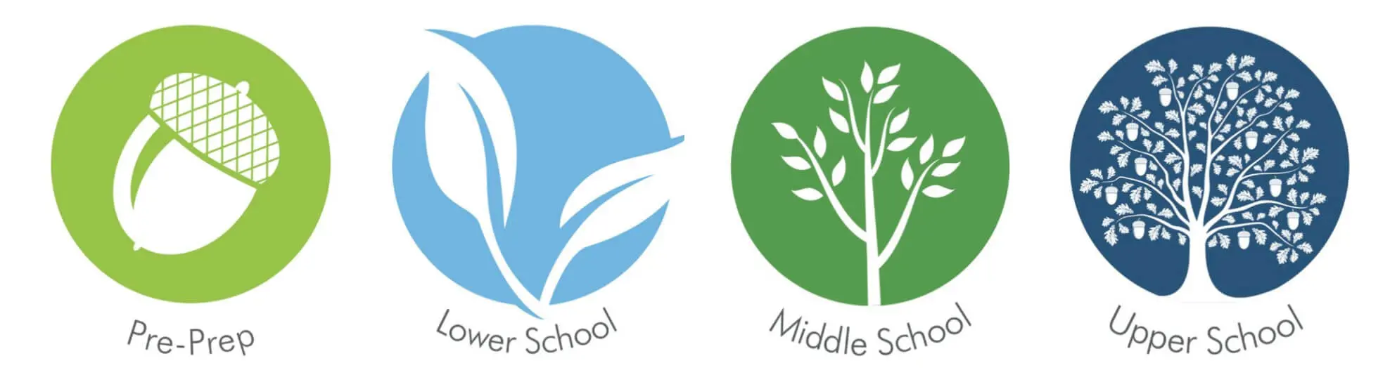 OptimizedImage,Optimized