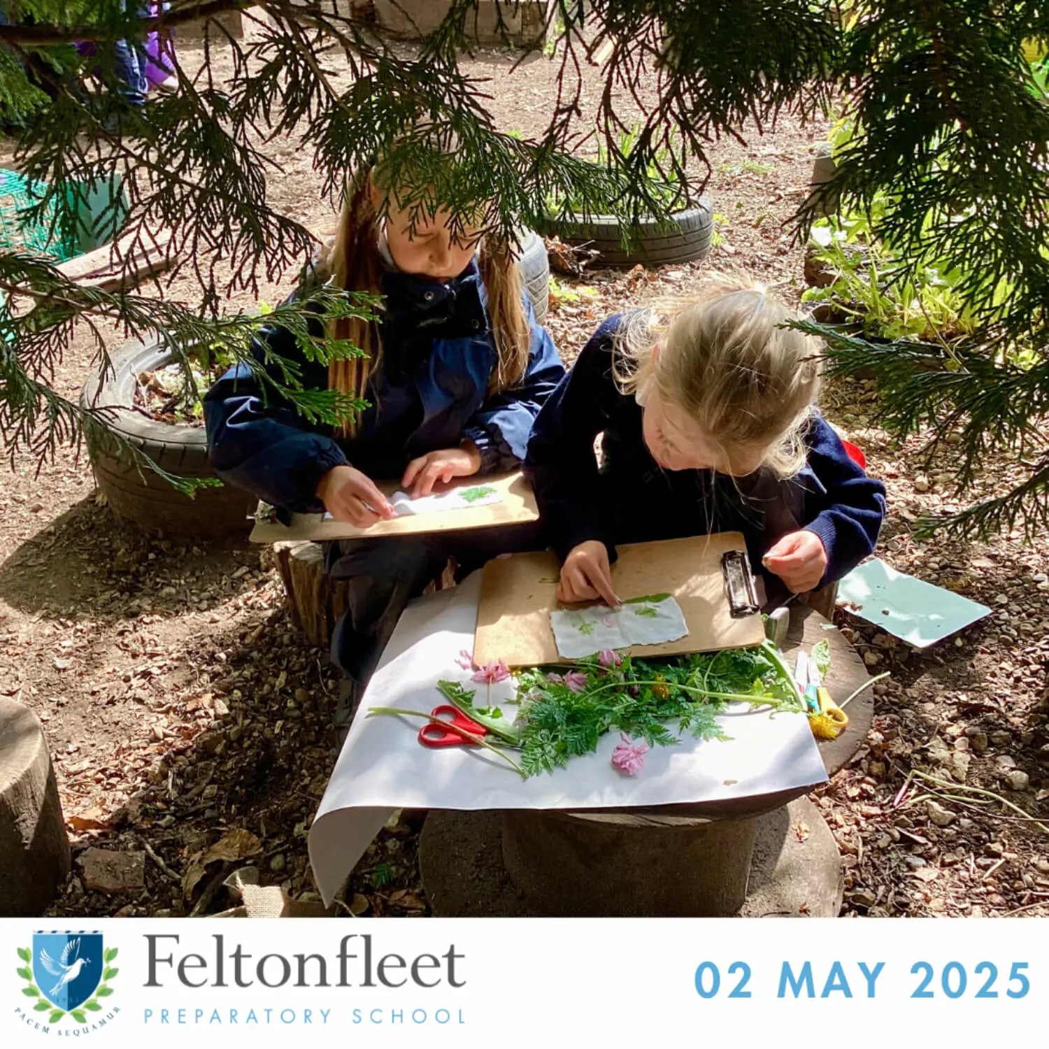 Feltonfleet Prep School Newsletter Thumbnail