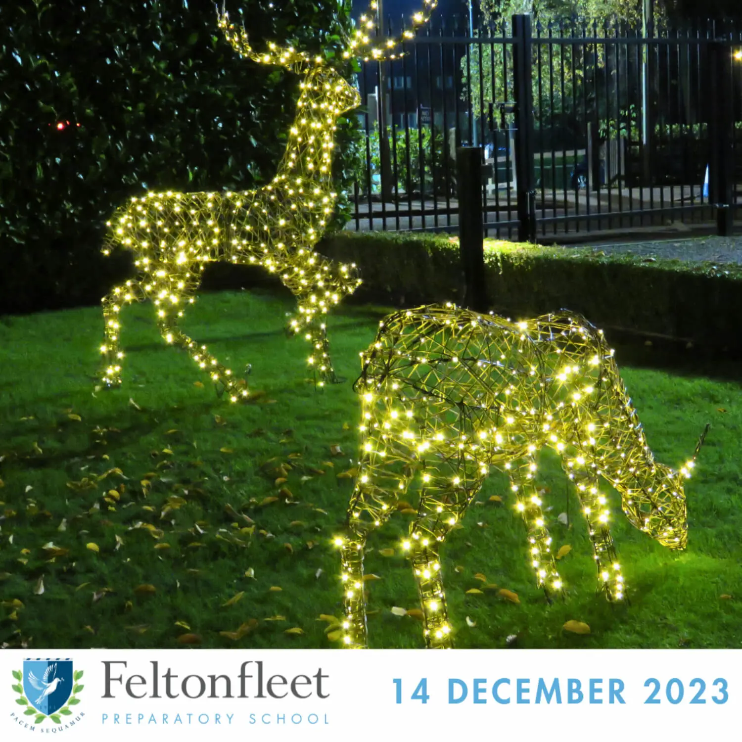Feltonfleet Prep School Newsletter Thumbnail