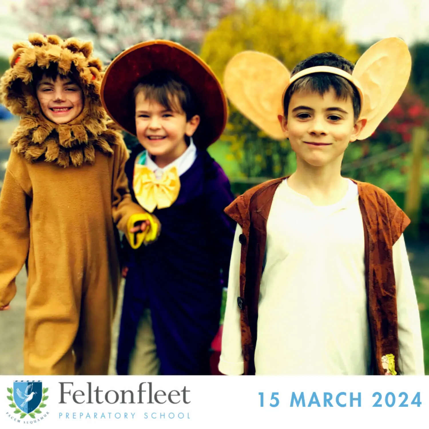 Feltonfleet Prep School Newsletter Thumbnail