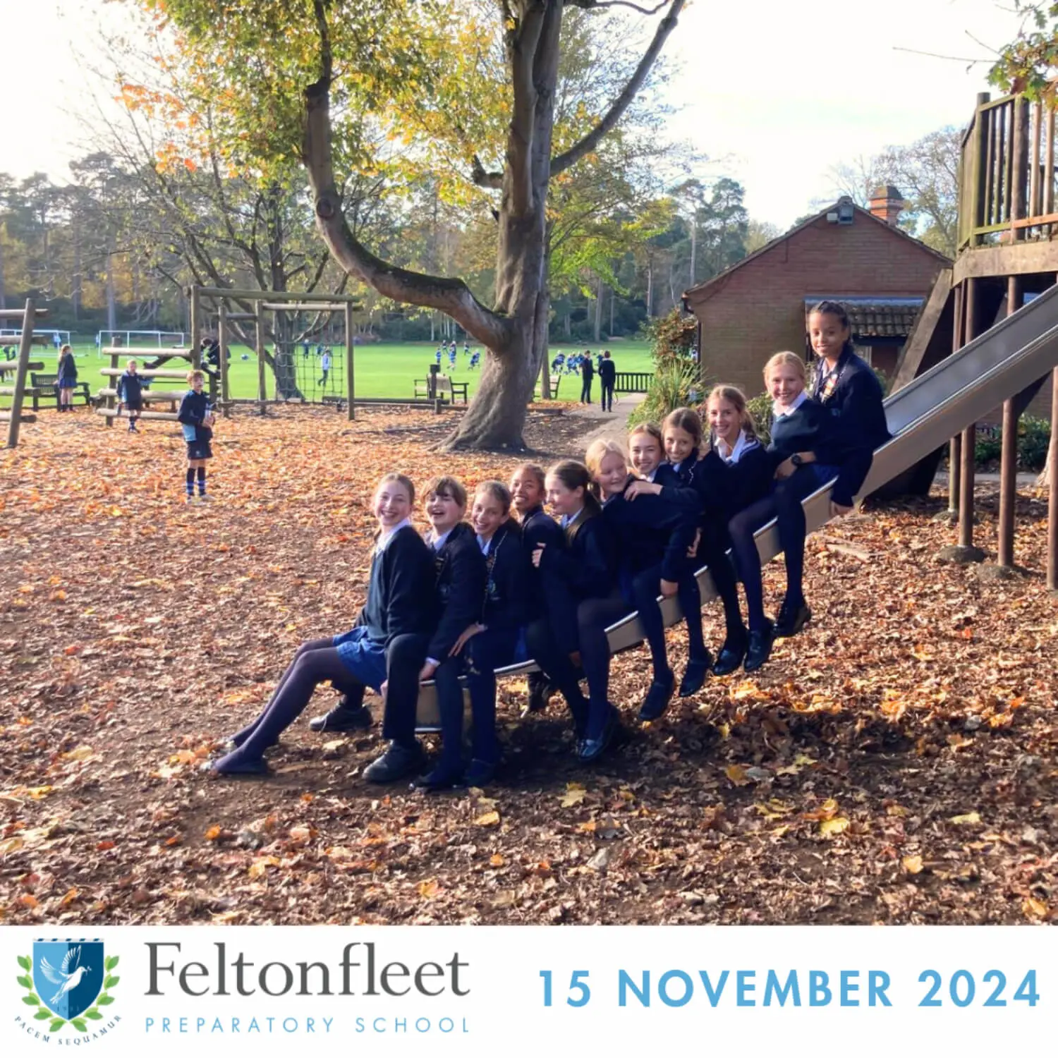 Feltonfleet Prep School Newsletter Thumbnail