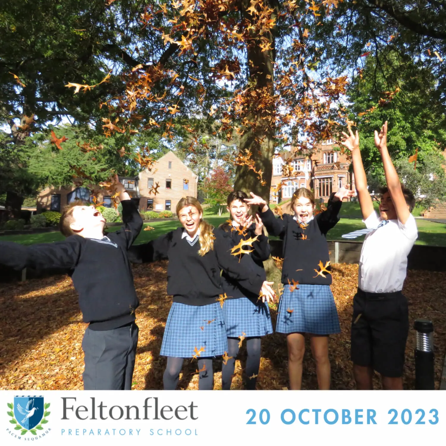 Feltonfleet Prep School Newsletter Thumbnail