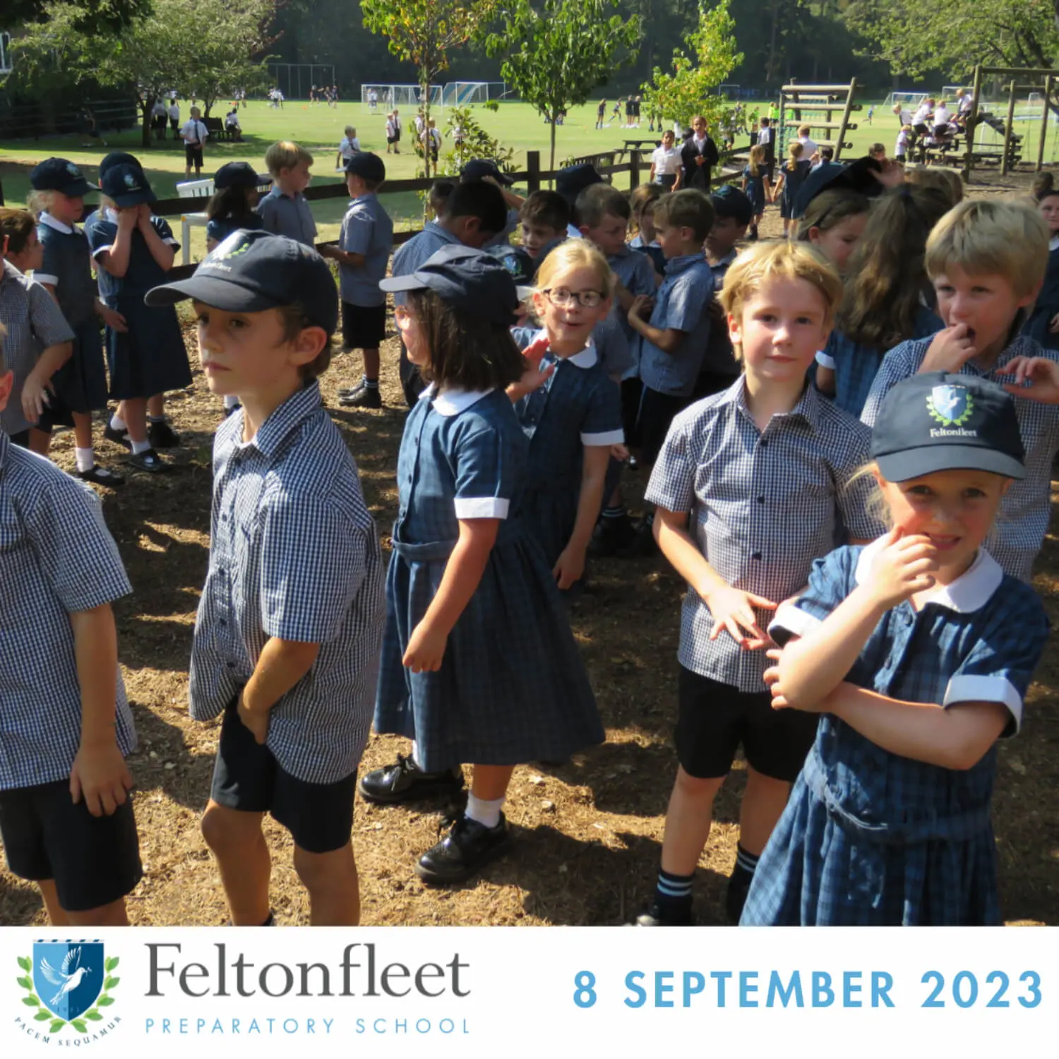 Feltonfleet Prep School Newsletter Thumbnail