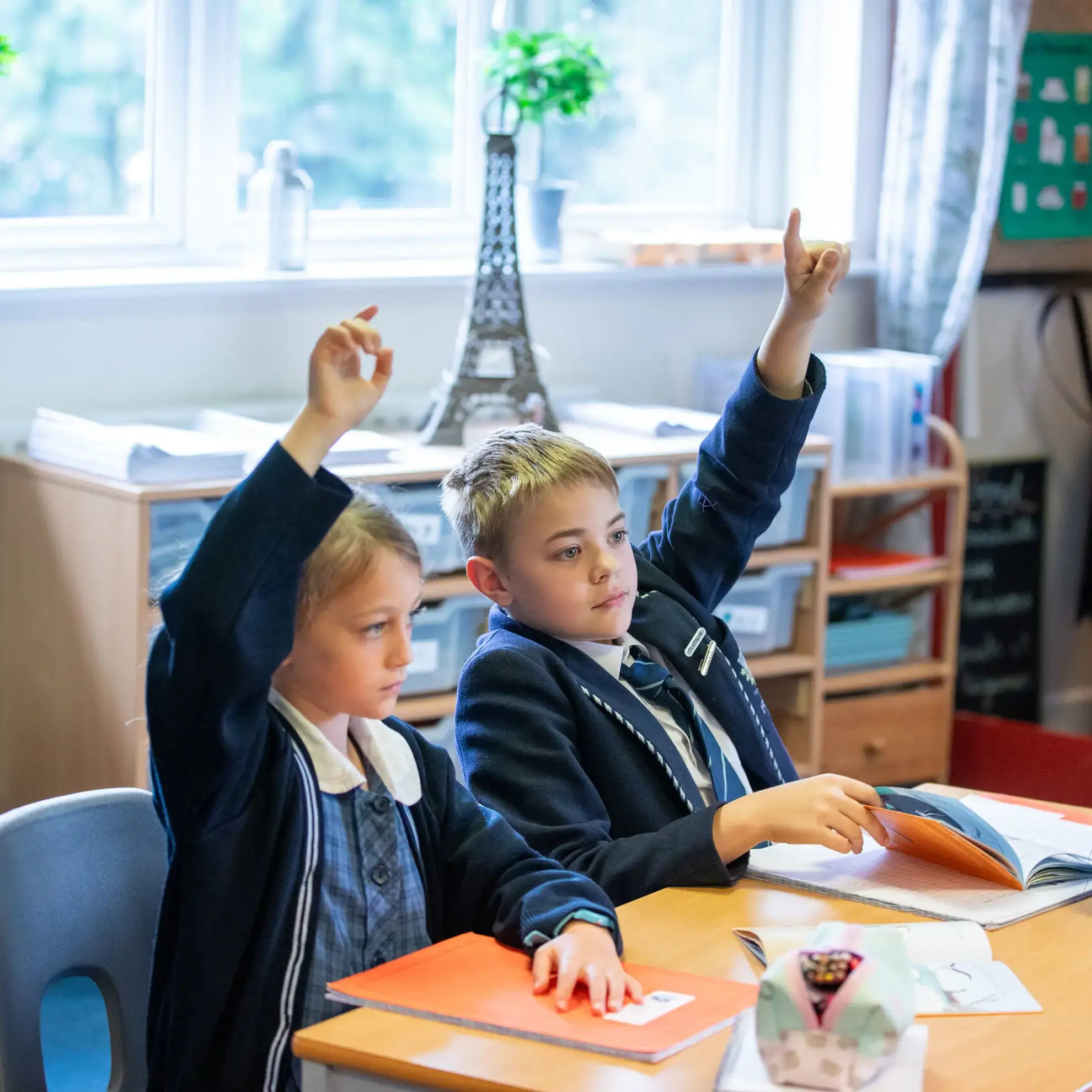 Students raising their hands in a lesson