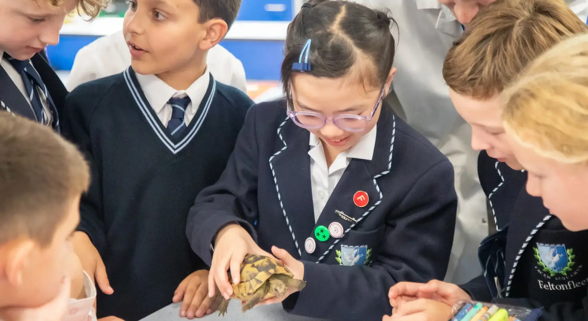 Students holding a tortoise in a lesson