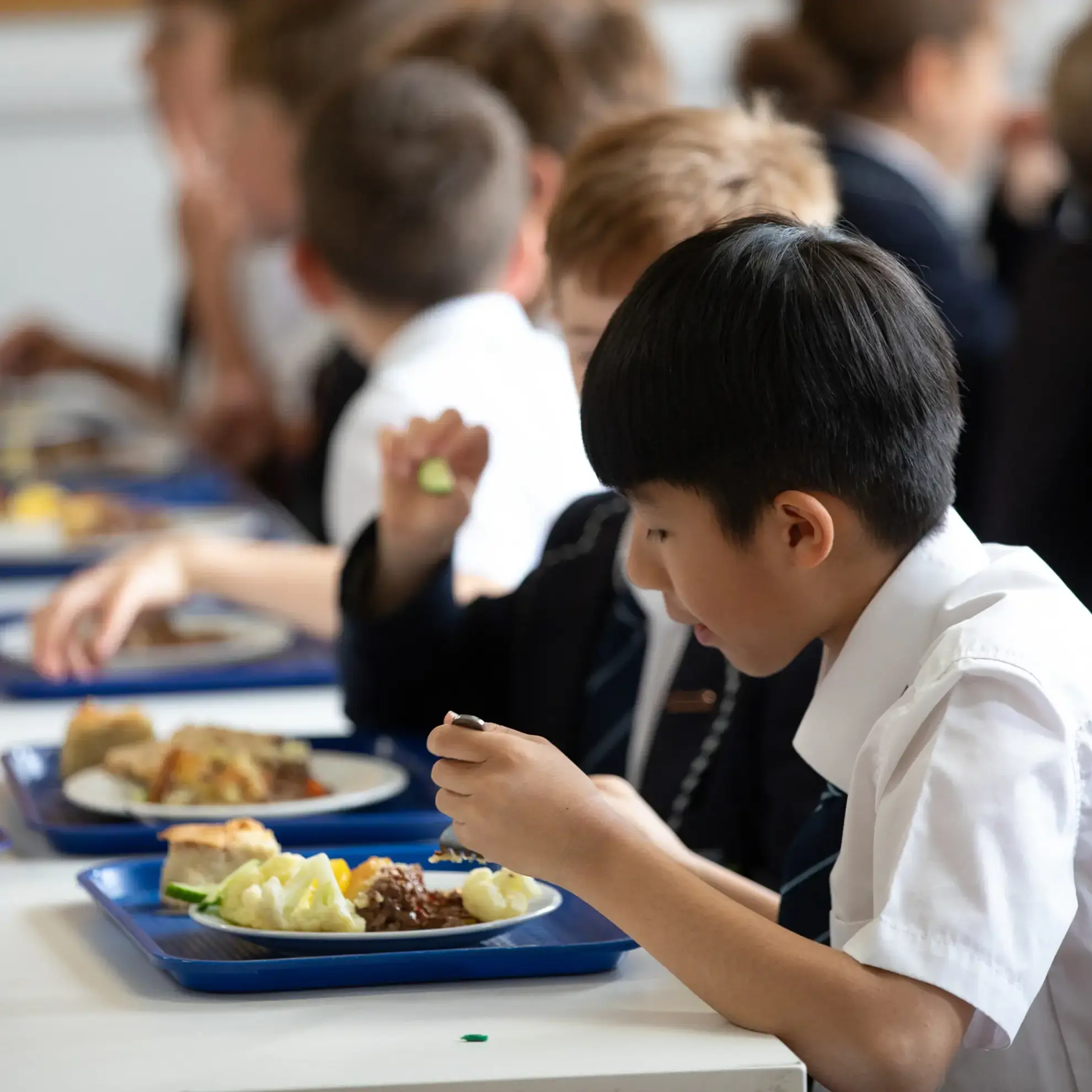 Students eating lunch together