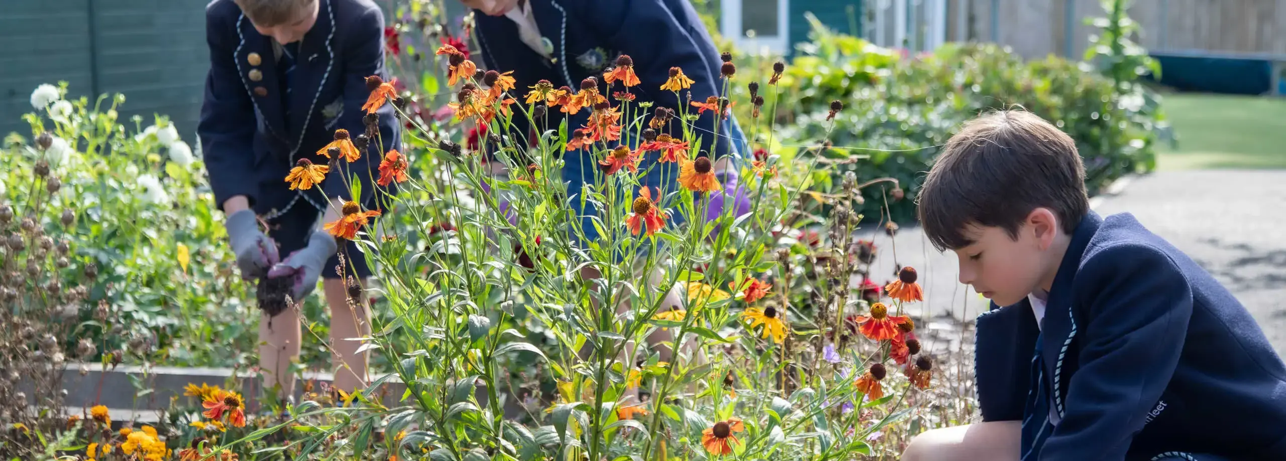 Pupils enjoying gardening in their breaktime
