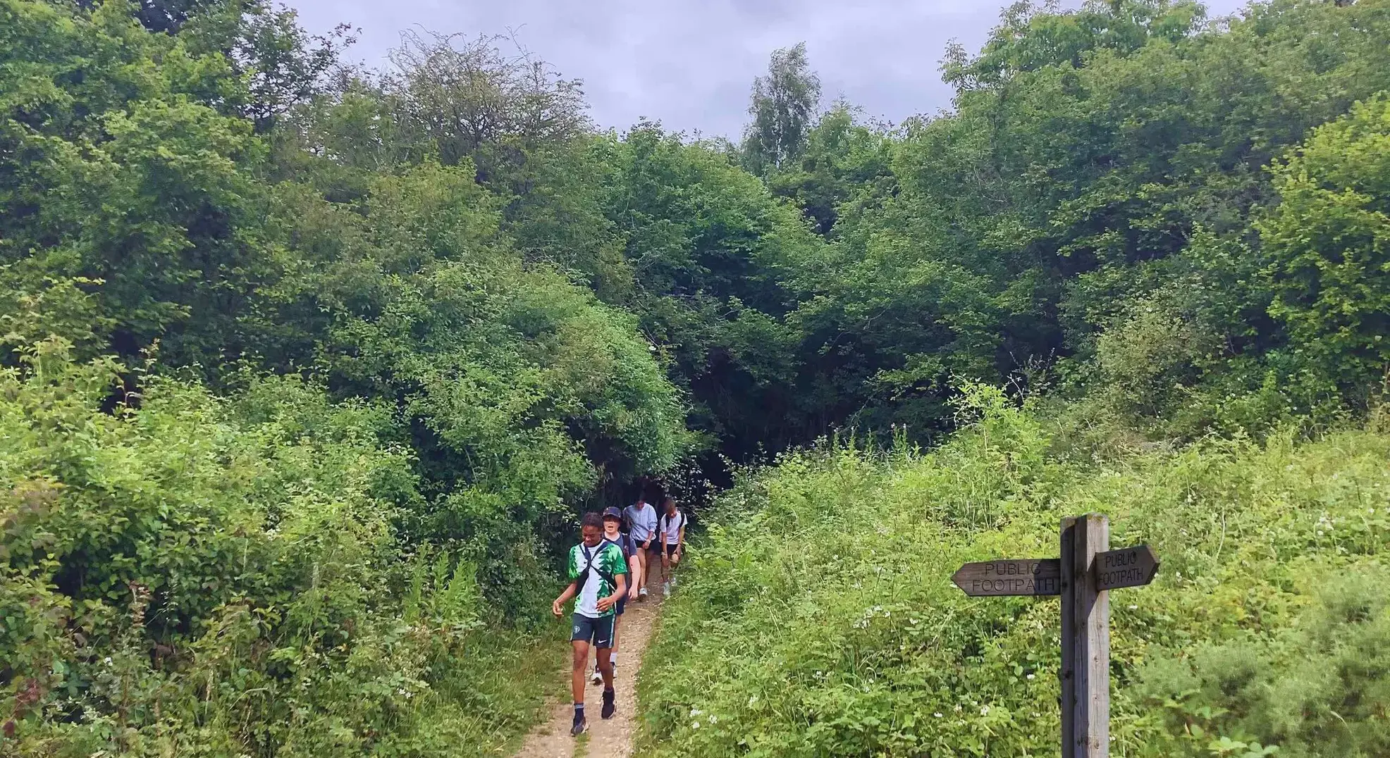 Students walking on small path through wooded area