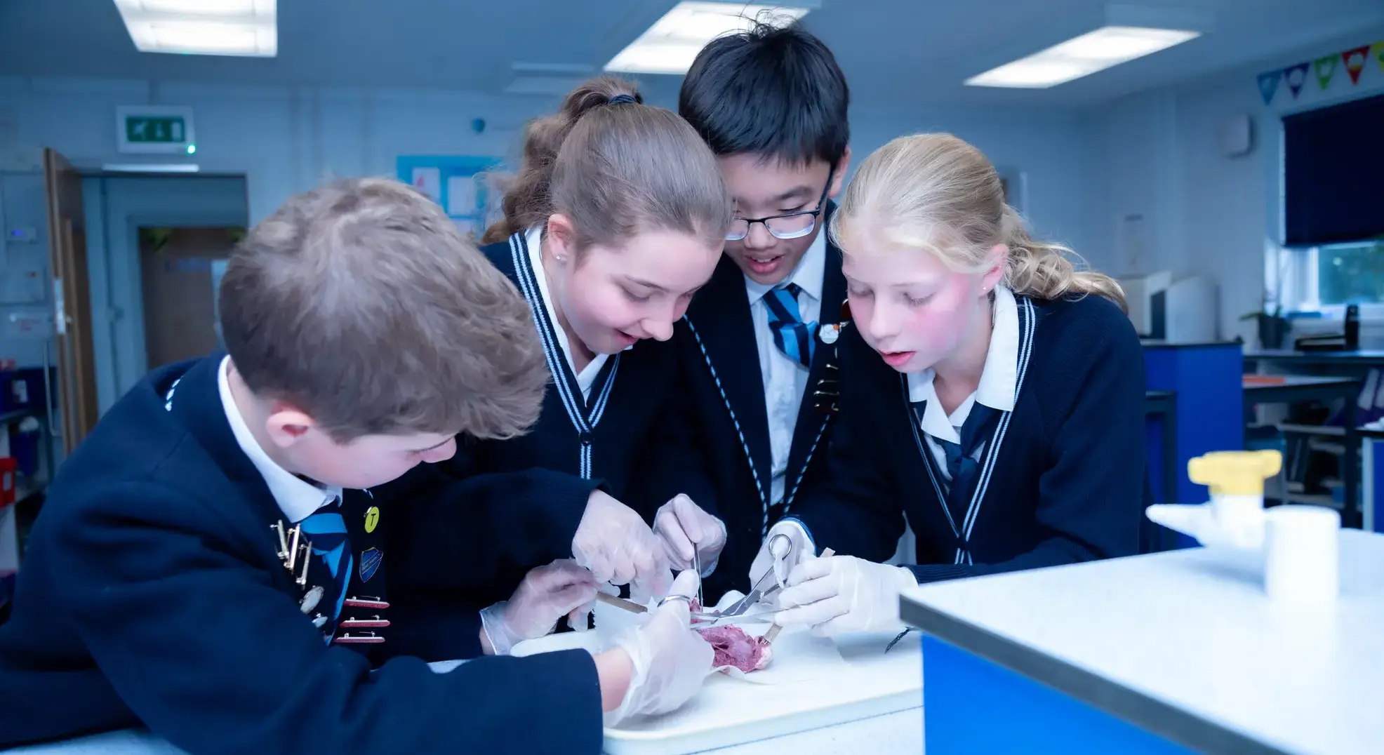 Students performing a dissection