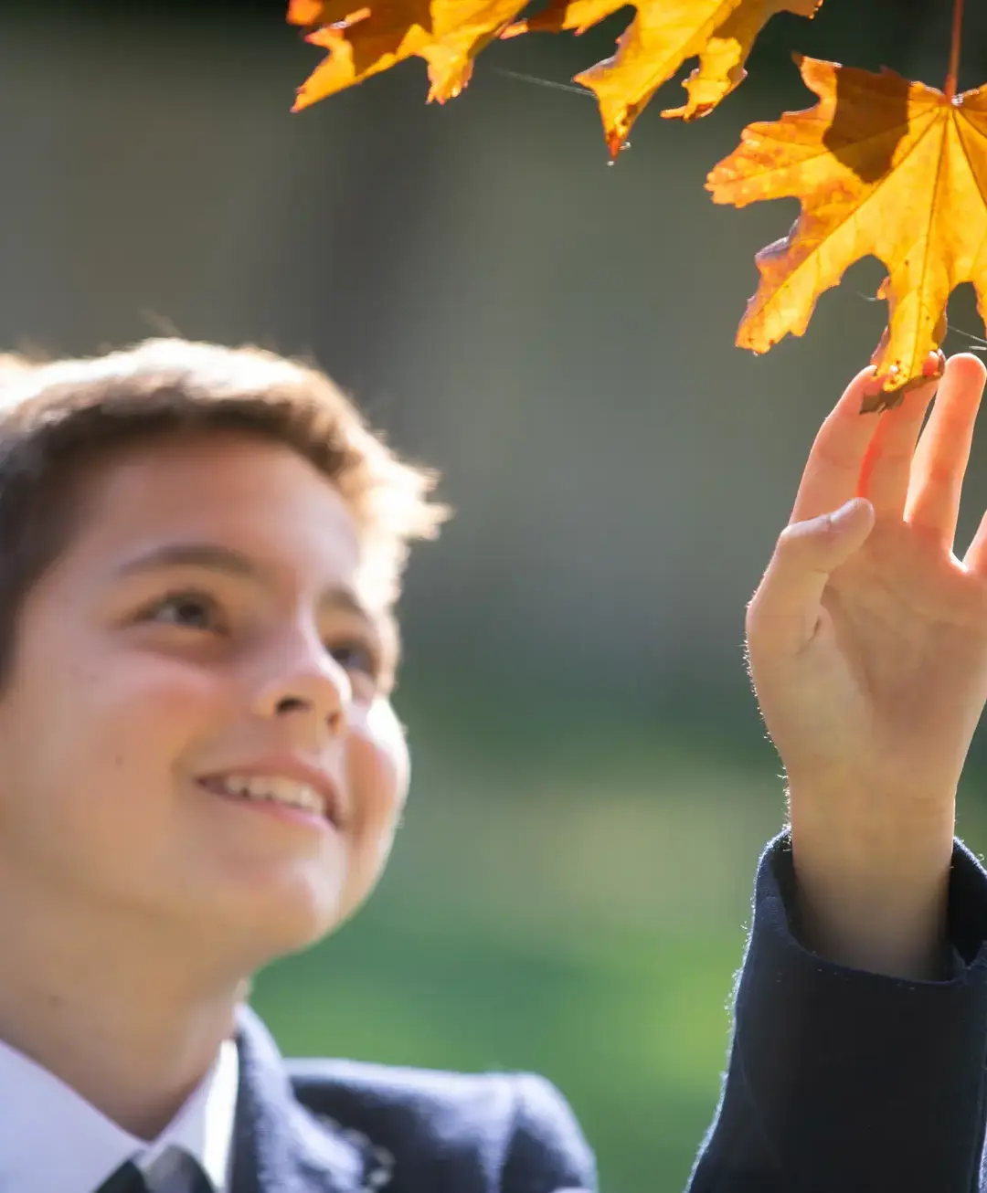 Student touching leaf